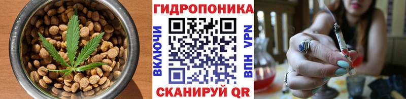 где можно купить наркотик  kraken ТОР  Печенье с ТГК конопля  Мичуринск 