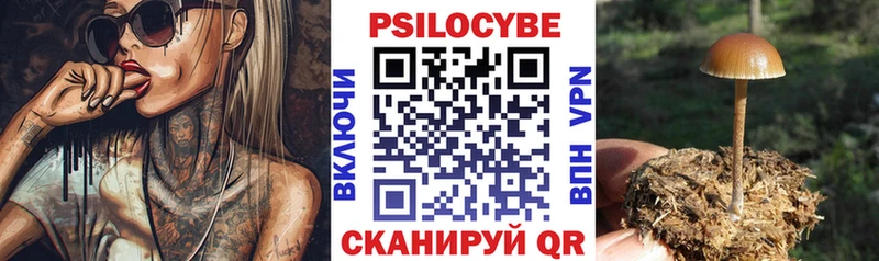 цена наркотик  Мичуринск  Псилоцибиновые грибы мухоморы 