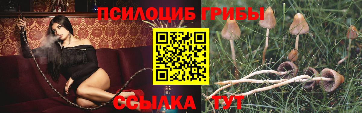 Мичуринск  Псилоцибиновые грибы мицелий  где можно купить   Вход с VPN 